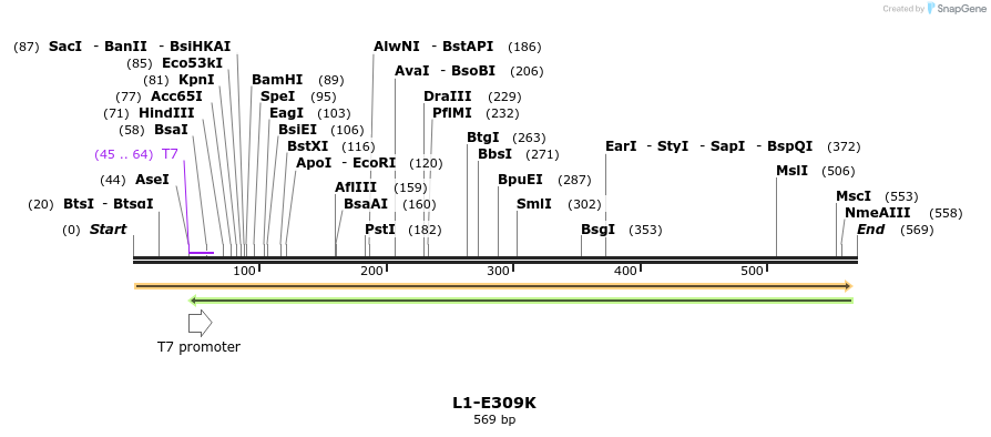 22166_map