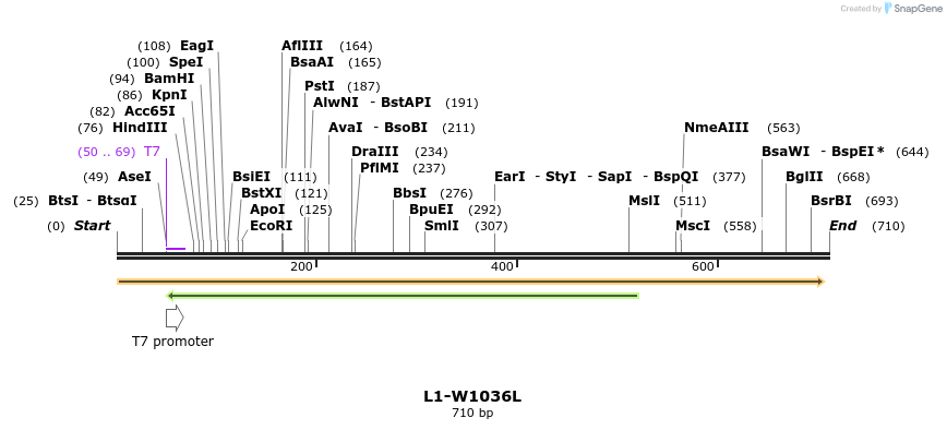 22168_map