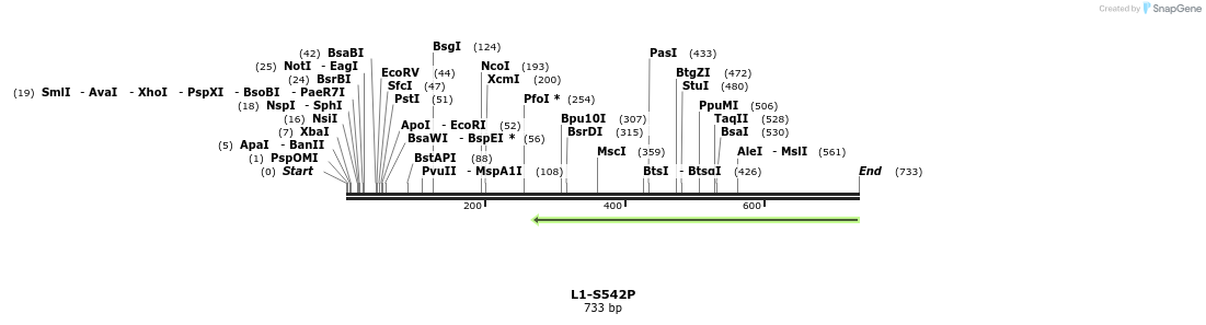 22171_map