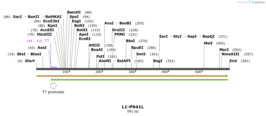 22174_map