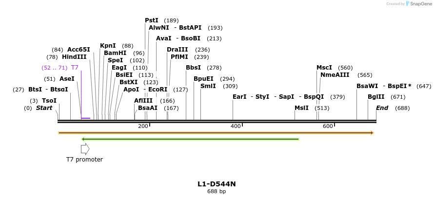 22175_map
