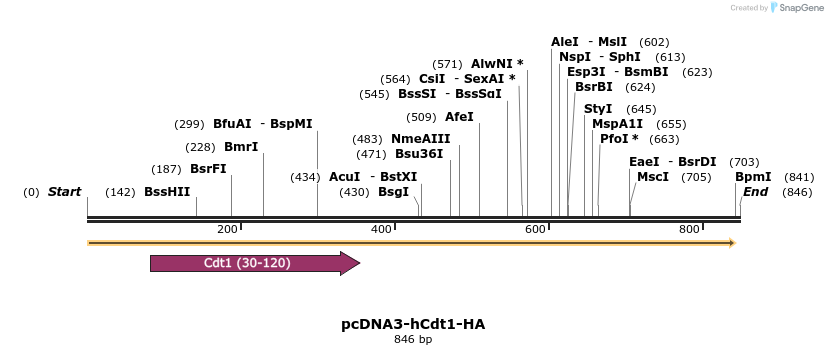 221756_map