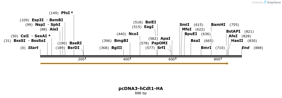 221757_map