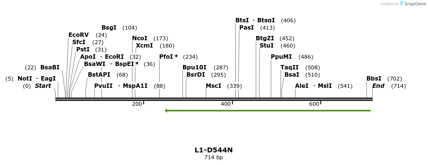 22176_map