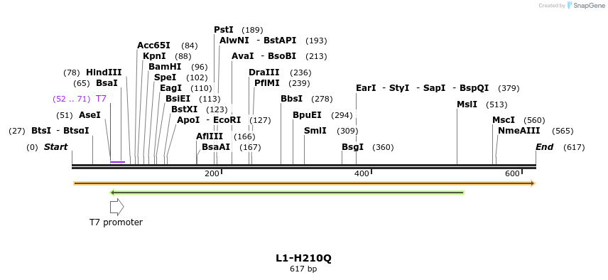 22177_map