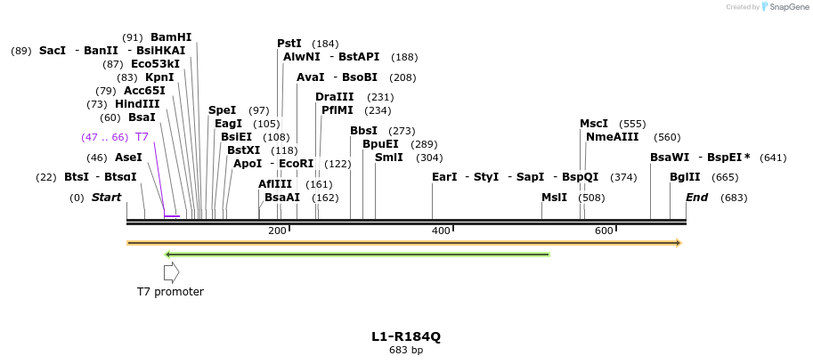 22179_map