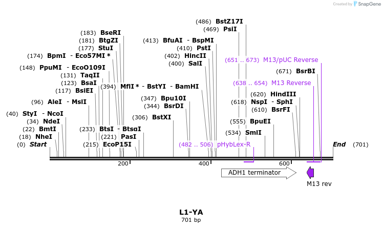 22183_map