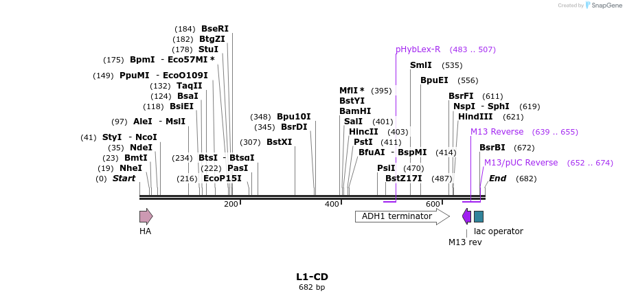 22184_map