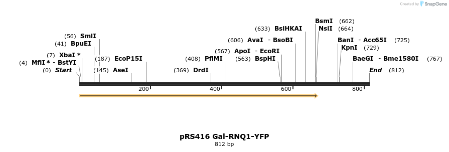22186_map