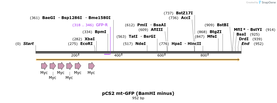 22188_map