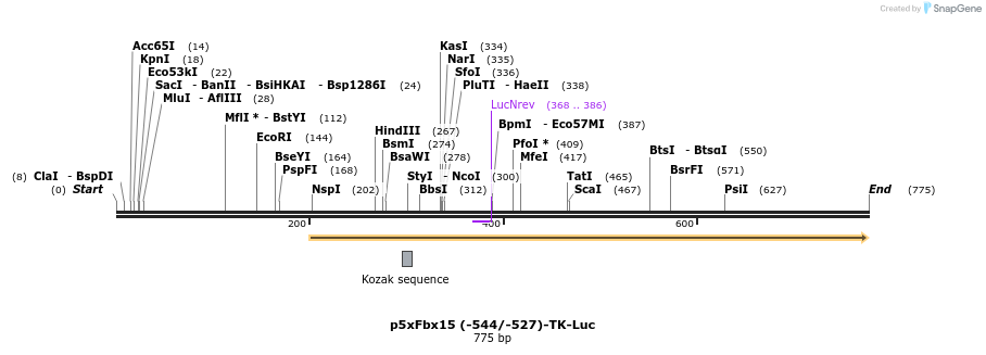 22191_map