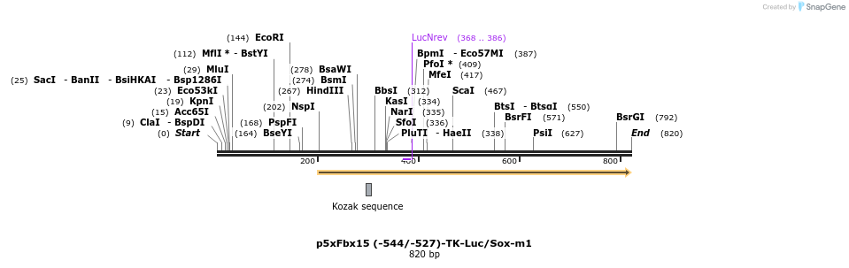 22192_map