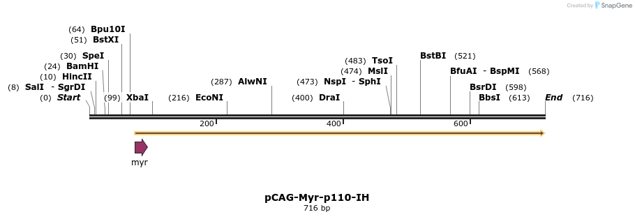 22194_map