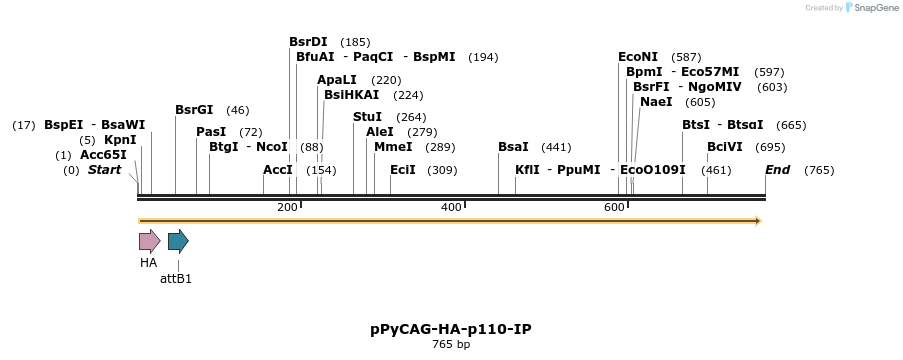 22196_map