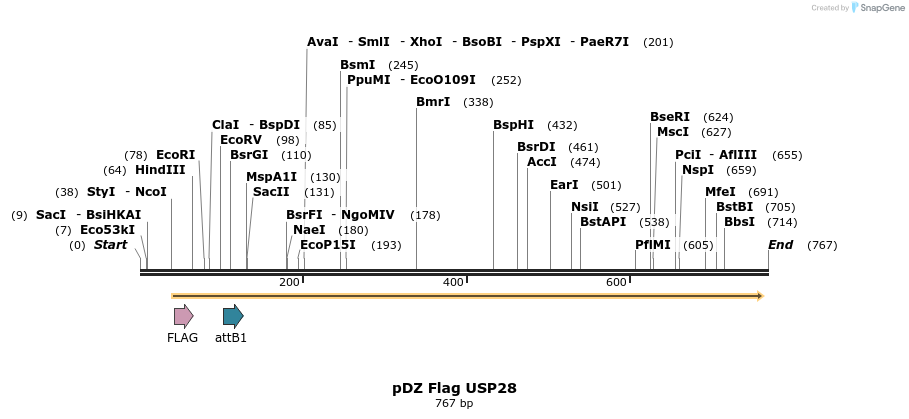 22202_map