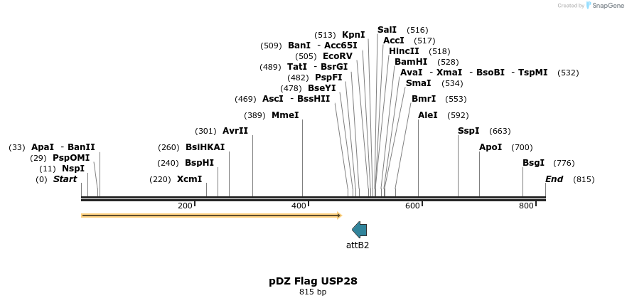 22203_map