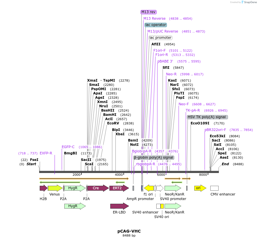 222030_map