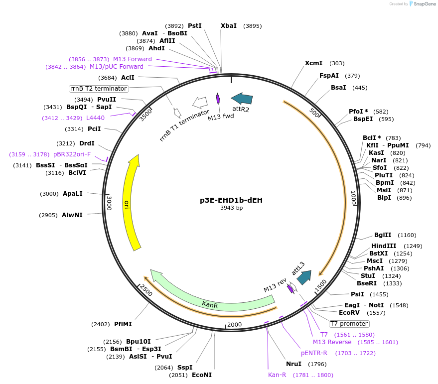 222042_map