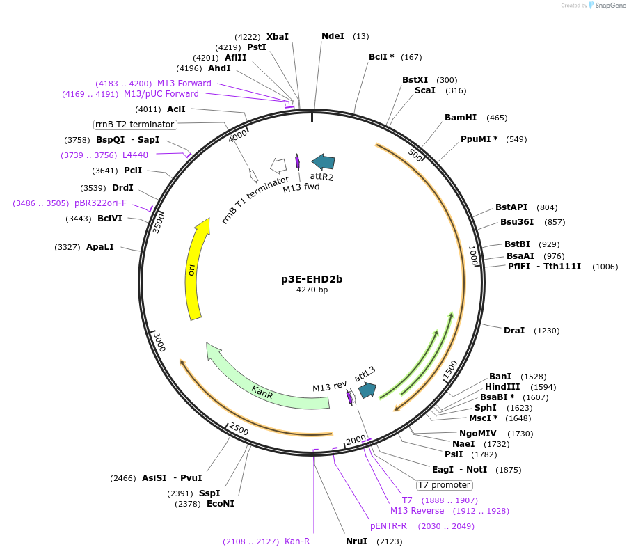 222045_map