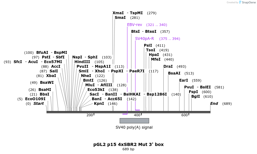 22206_map