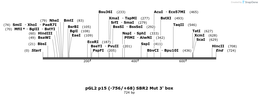 22208_map