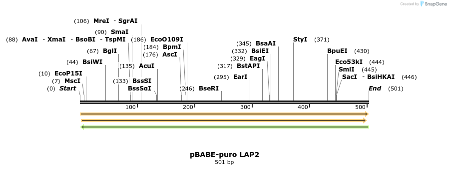 22209_map