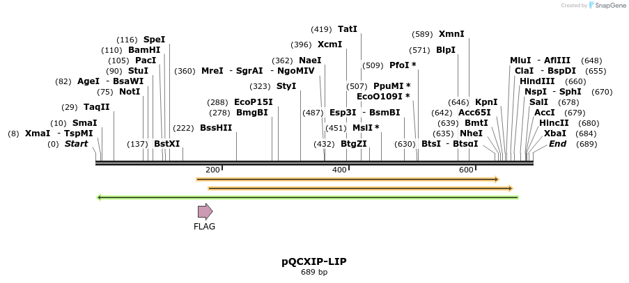 22211_map