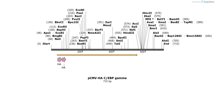 22212_map