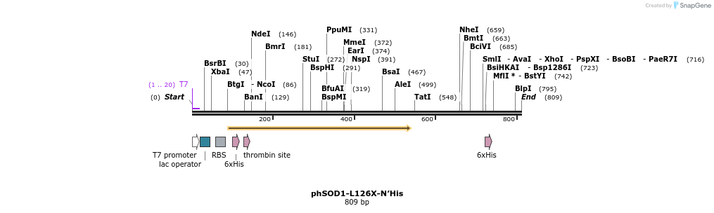 222129_map