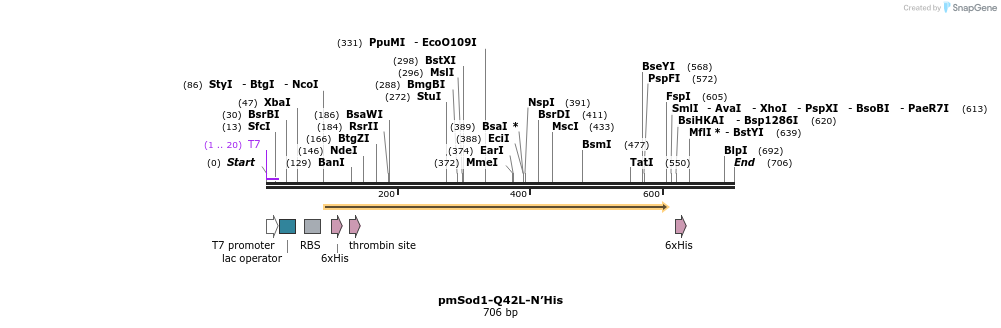 222132_map