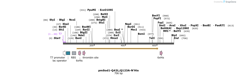 222134_map