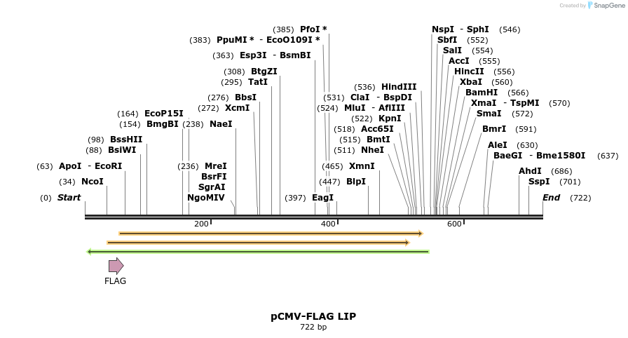 22214_map