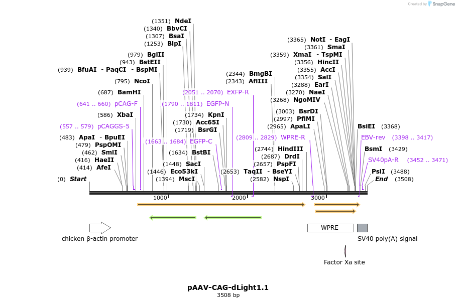 222148_map