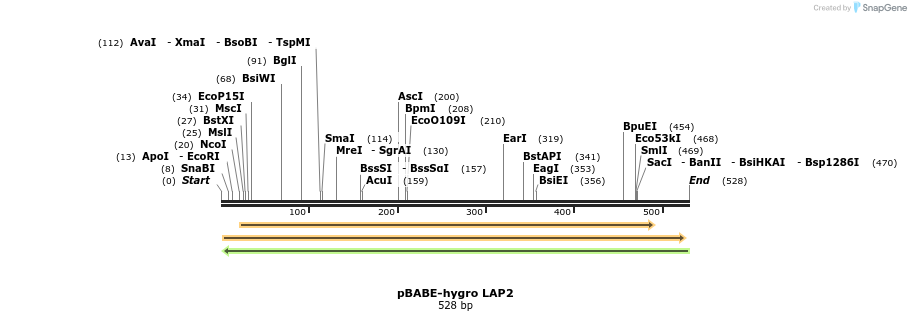 22217_map