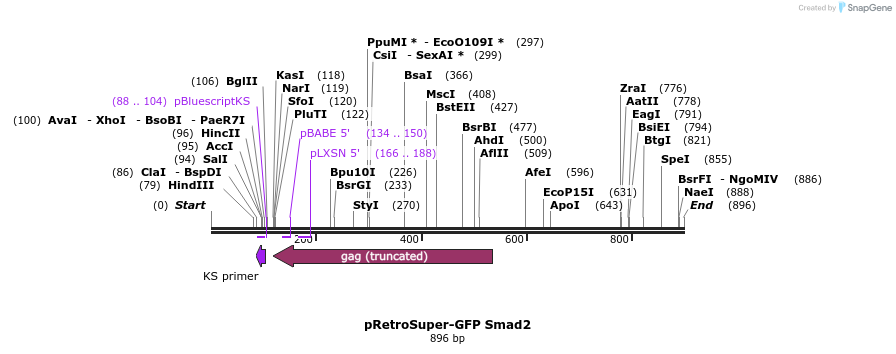 22219_map