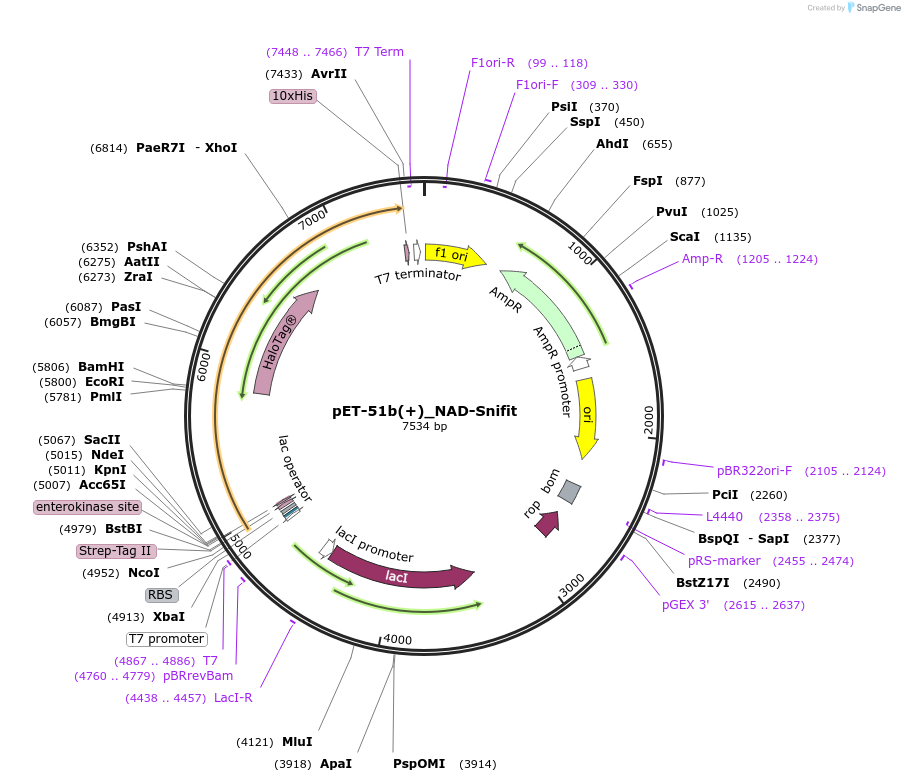 222215_map