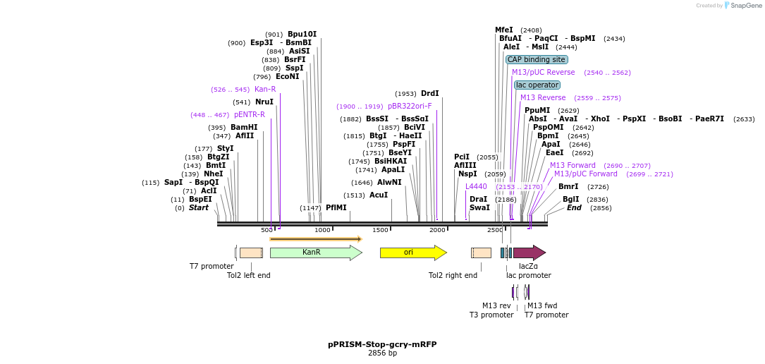 222269_map