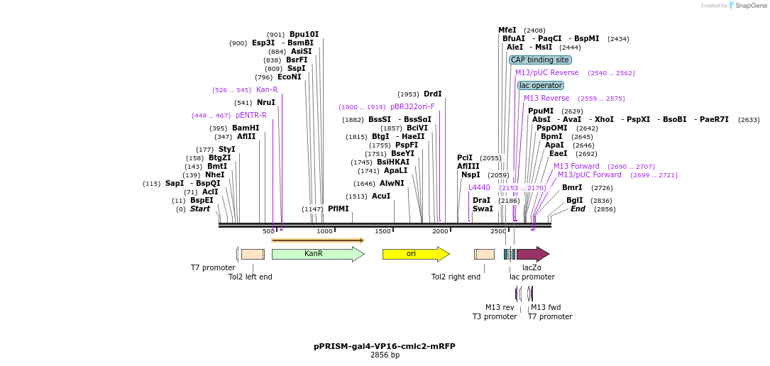 222296_map