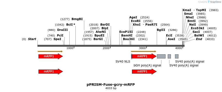 222306_map
