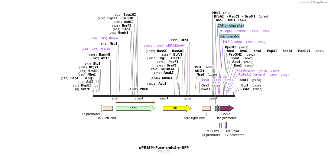 222314_map