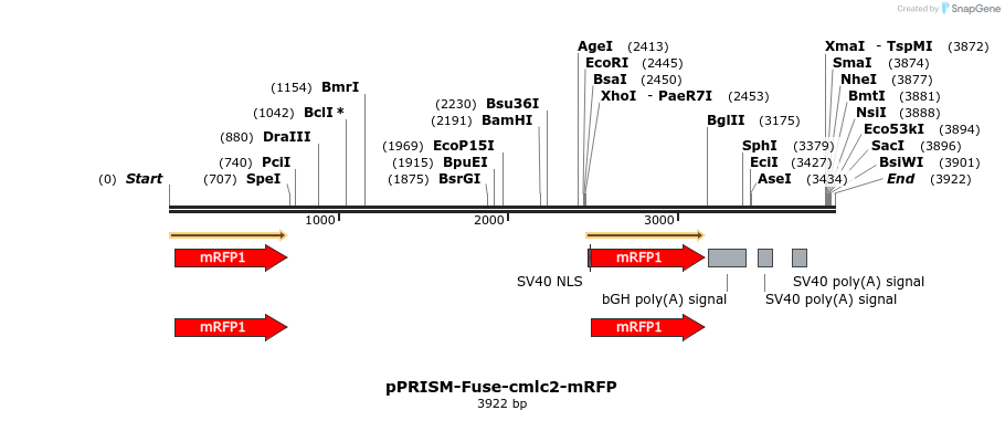 222315_map