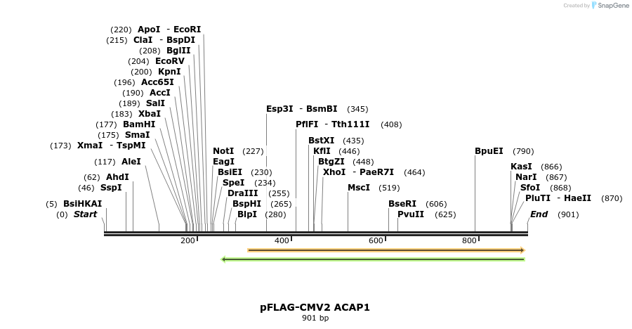 22232_map