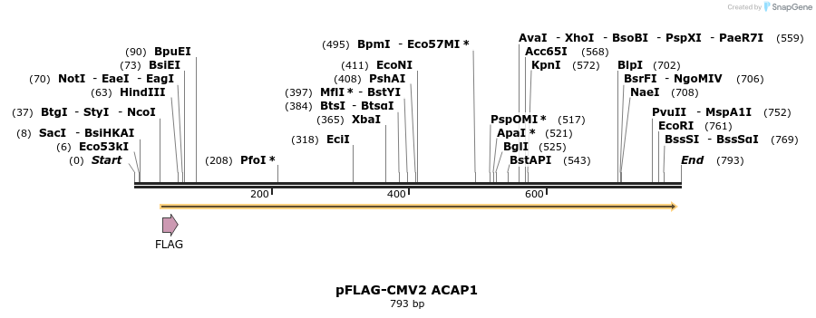 22233_map