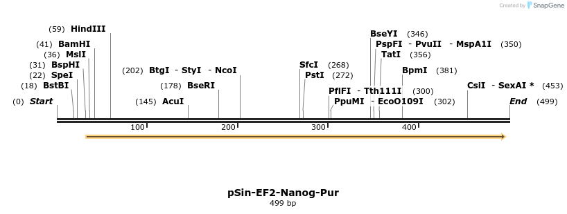 22236_map