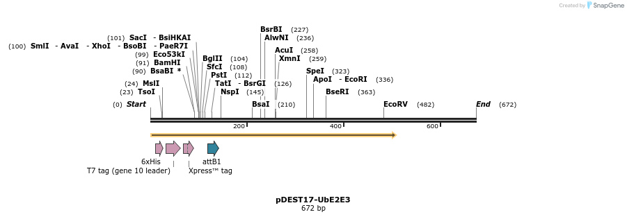 22247_map