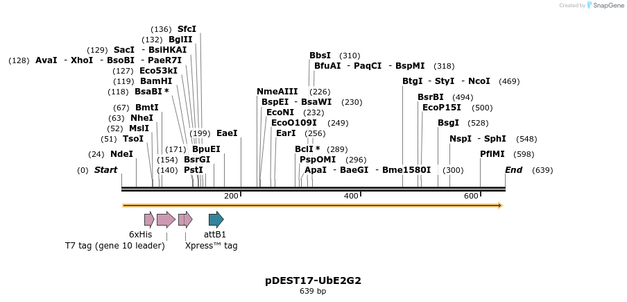22249_map