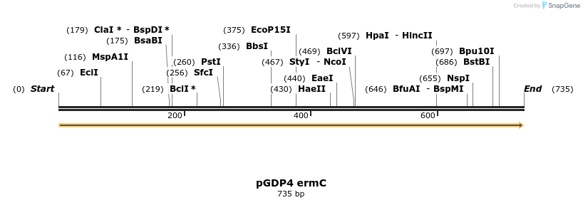 222529_map