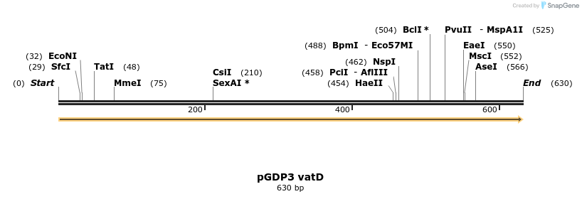 222531_map