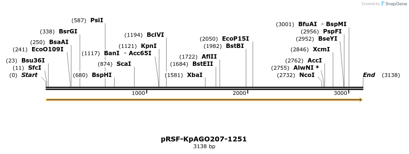 222556_map