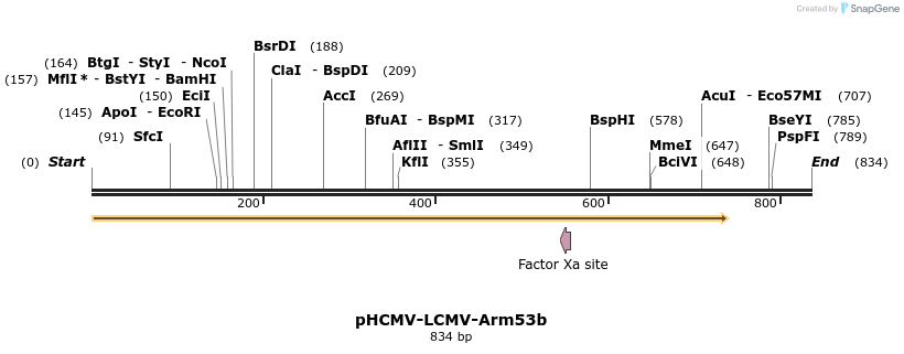 22264_map